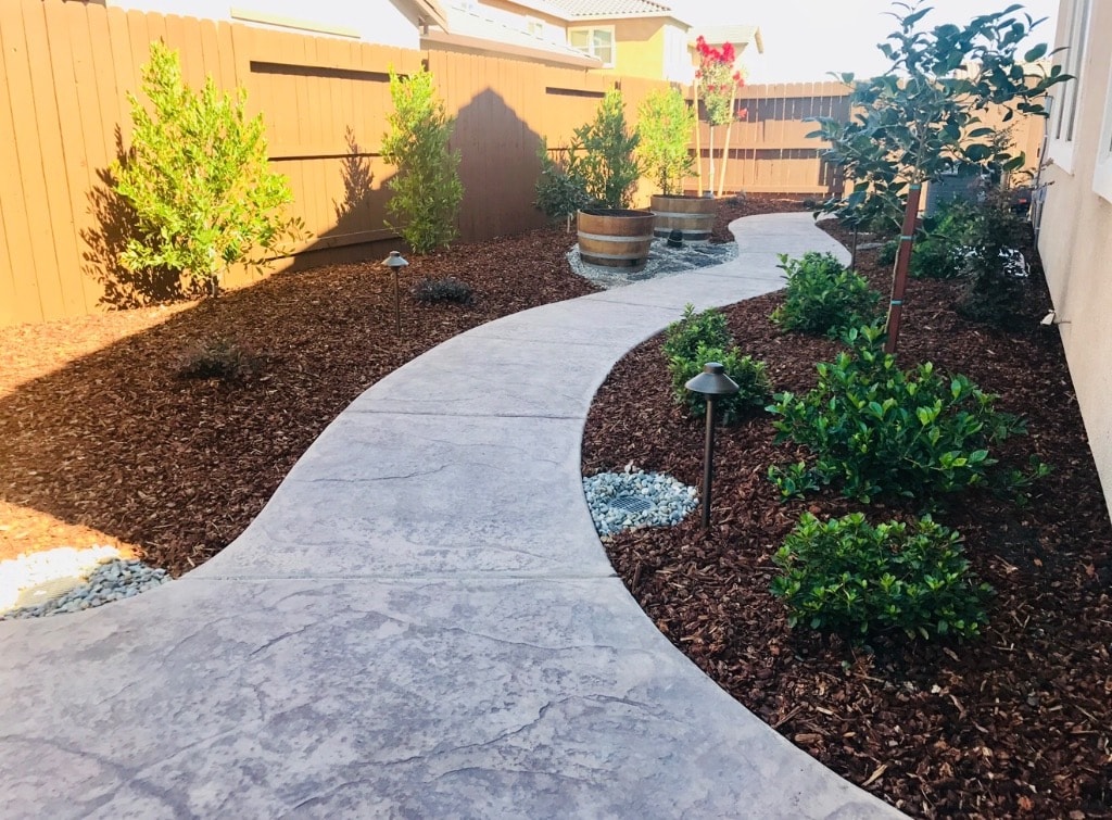 Curved concrete pathway through landscaped garden
